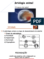 Embriolodia - 2022