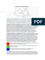 La Percepción Del Color en La Visión Humana