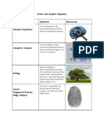 Crime Graphic Organizer