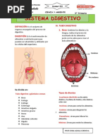 Ficha 3 Unidad Iii El Sistema Digestivo