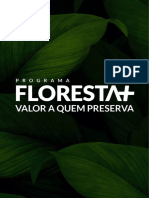 Programa Floresta