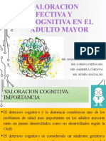 Valoración Afectiva y Cognitiva