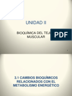 Unidad 2 Parte 1 Metabolismo de La Carne