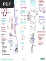 Cell Biology) 7. DNA Structure - Organization - Key