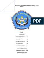 Laporan Pengamatan Jaringan Daun Tanaman Cabai