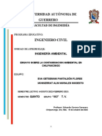 Ensayo Sobre La Contaminacion en Chilpancingo