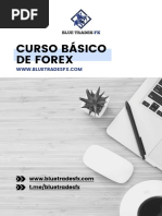 Curso Básico de Forex Por BlueTradesFx