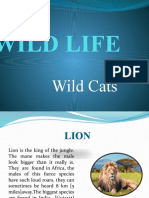 Wild Life