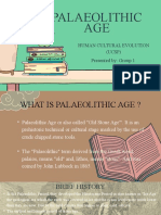 Palaeolithic Age PPT (Ucsp)