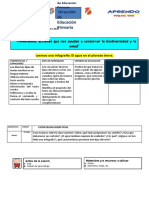 Lunes 7 NOVIEMBRE Comunicacion