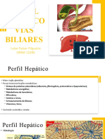 Aula 4 - Perfil Hepático e Biliar