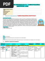 Experiencia N°11 Octubre Somos Pequeños Cientificos