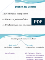 Classification Des Insectes