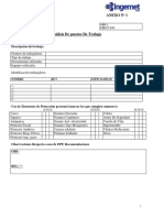 Anexo Analisis Puestos Trabajo