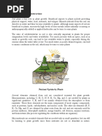 Lecture 6 Soil-Plant Interactions