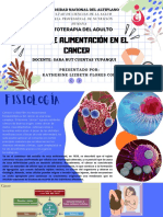 Plan de Alimentación en El Cancer