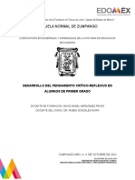 Desarrollo Del Pensamiento Crítico-Reflexivo