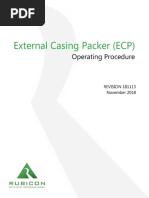 ECP External Casing Packer - Operating Procedure 181113