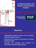 3 Organs of The Immune System