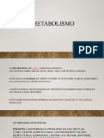 Diapositivas Introducción Al Metabolismo