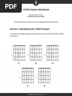 Workbook Caged System