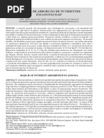 Marcha de Absorção de Nutrientes em Anonáceas