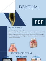 DENTINA