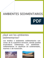 Ambientes Sedimentarios