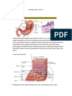Histologi Gaster L O No