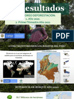 Presentación Deforestación 2020