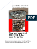 Bee Wasp Removal Sydney Call 0423 688 352