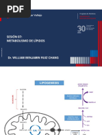 Metabolismo de Lípidos