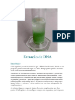 Extração de DNA Relatorio