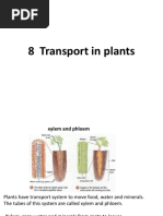 8-Transport in Plants