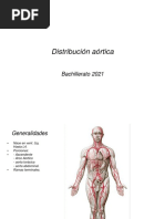 Clase 11 Distribución Aórtica Bachillerato 2021