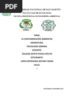 Monografia Contaminacaion Ambiental