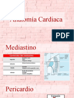 Anatomía Cardiaca