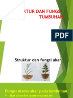 Struktur Dan Fungsi Tubuh Tumbuhan