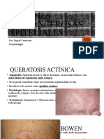 Lesiones Precancerosas Epiteliales y Neoplasicas