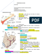 Biomecánica Del Hueso