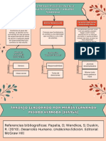 Mapa Conceptual Desarrollo Psicosocial