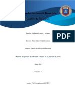 Reporte Del Proceso de Antencion A La Mujer en El Proceso de Parto