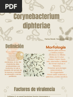 Difteria