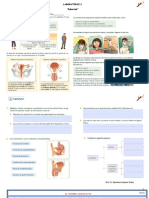 DESARROLLO 1 PUBERTAD LABORATORIO Ok