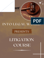 Litigation Guide