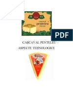 Cascavalului Penteleu - Aspecte Tehnologice