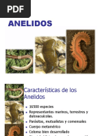 Anelidos