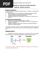 Respuestas - Taller 8 - Acidos Nucleicos