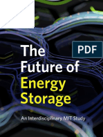 The Future of Energy Storage