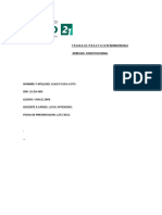 T R A B A J O P R A C T I C O N 4 (Individual) - DERECHO CONSTITUCIONAL